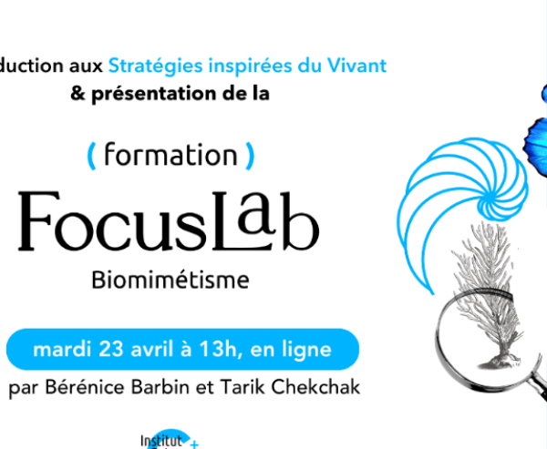 FocusLab Biomimétisme
